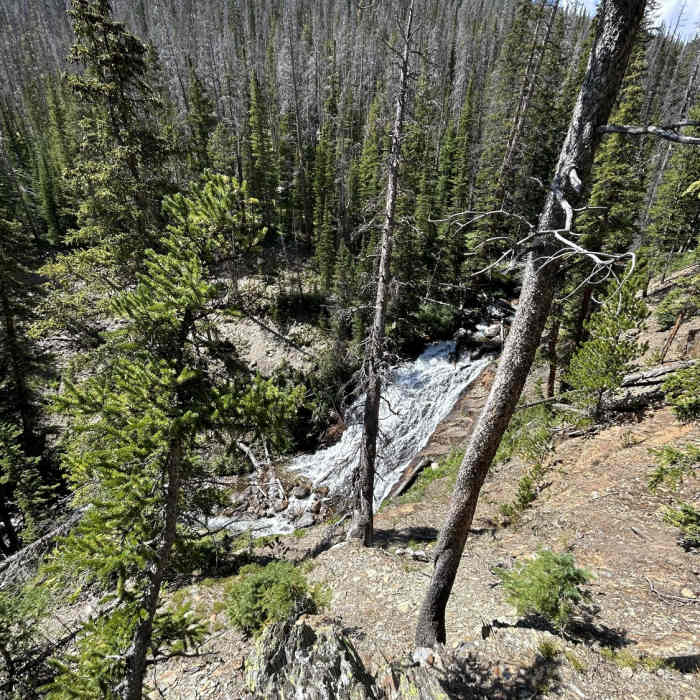Near French Creek Trail