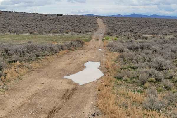 Pack Trail 1