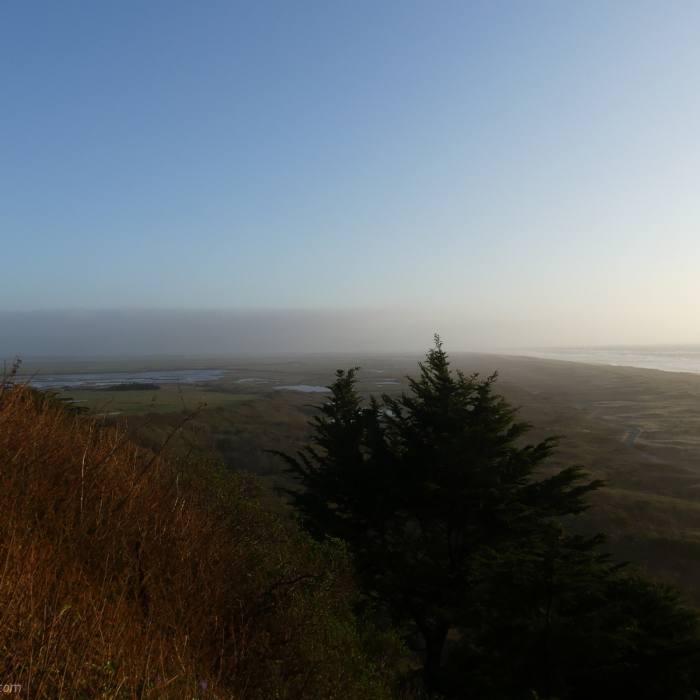 Near Waluplh-Lighthouse Ranch Interpretive Trail