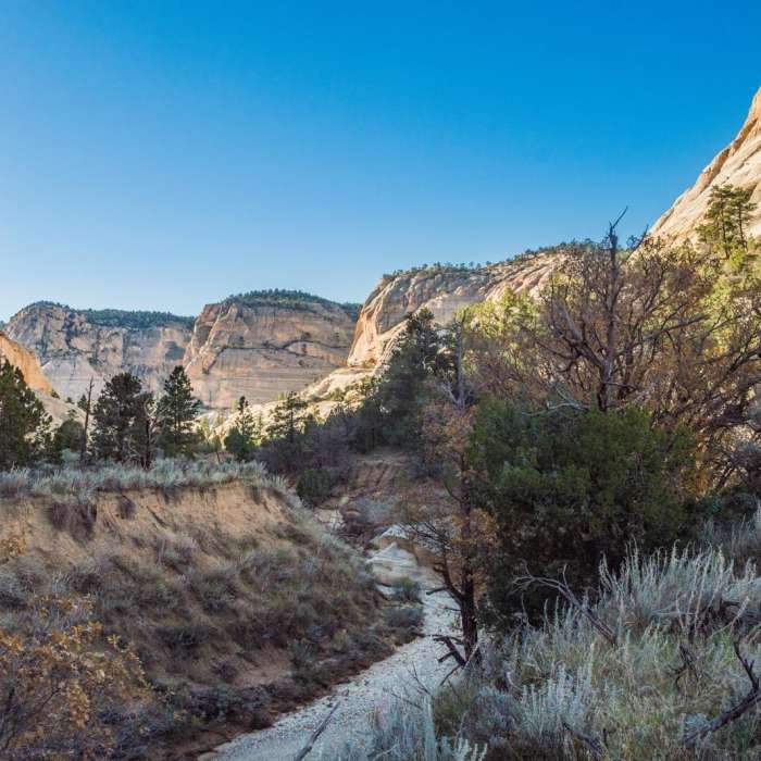 Near Lick Wash Hike Near Lick Wash Hike