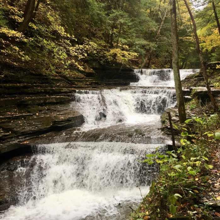 Falls Near Buttermilk State Park to Robert Treman State Park