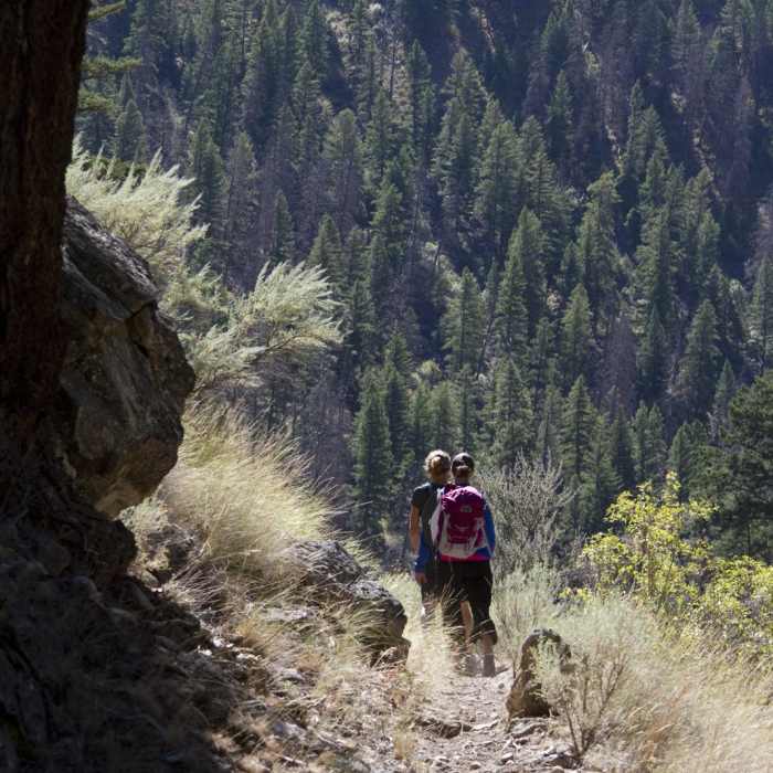Near Middle Fork of the Salmon River Trail a Day 3