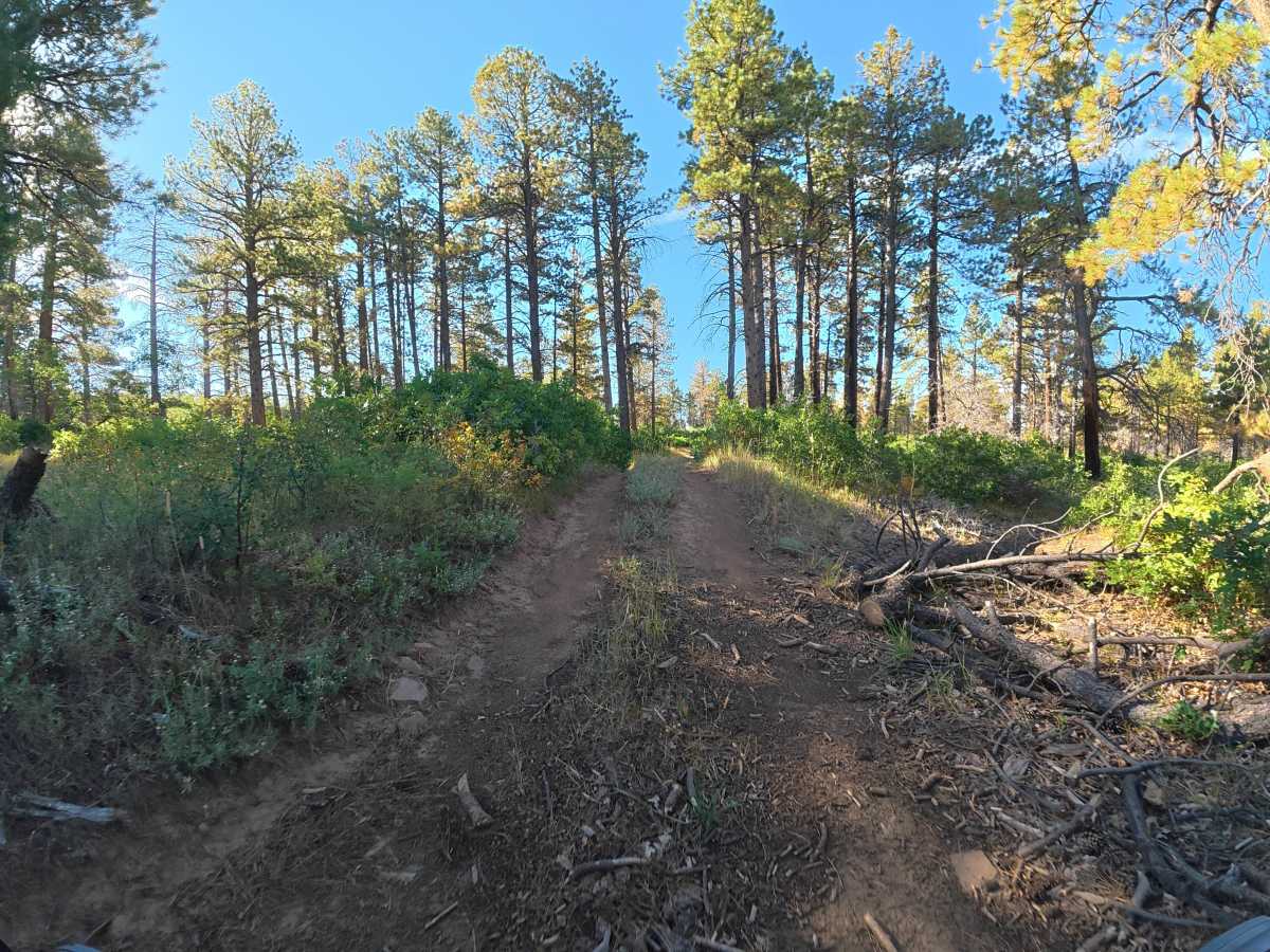 Long Canyon Road photo 6
