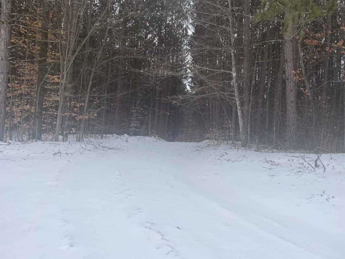 Brush Lake Access Trail - FS 5691 photo 2