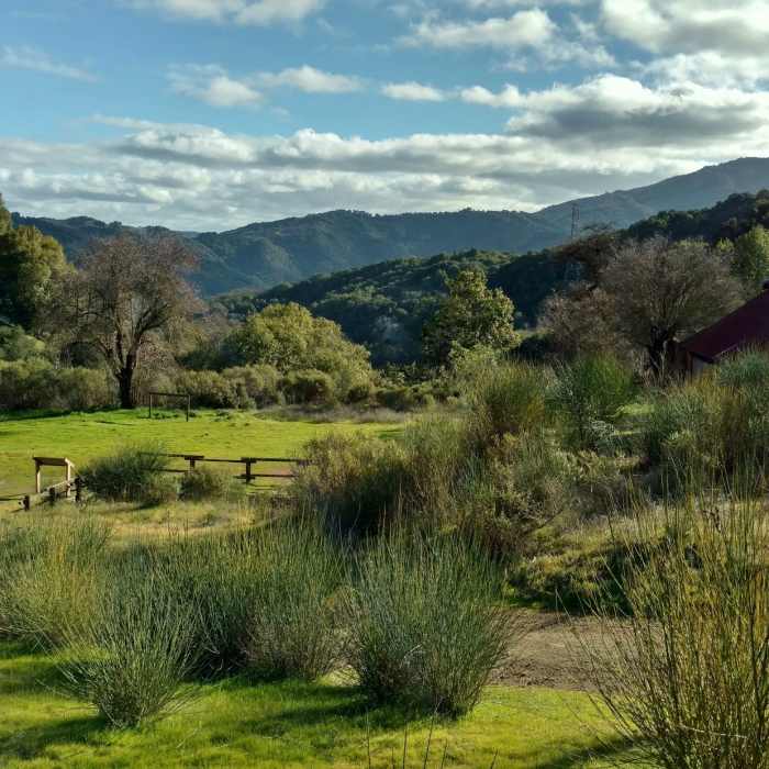 Near Bay Area Ridge Trail: Almaden Quicksilver County Park