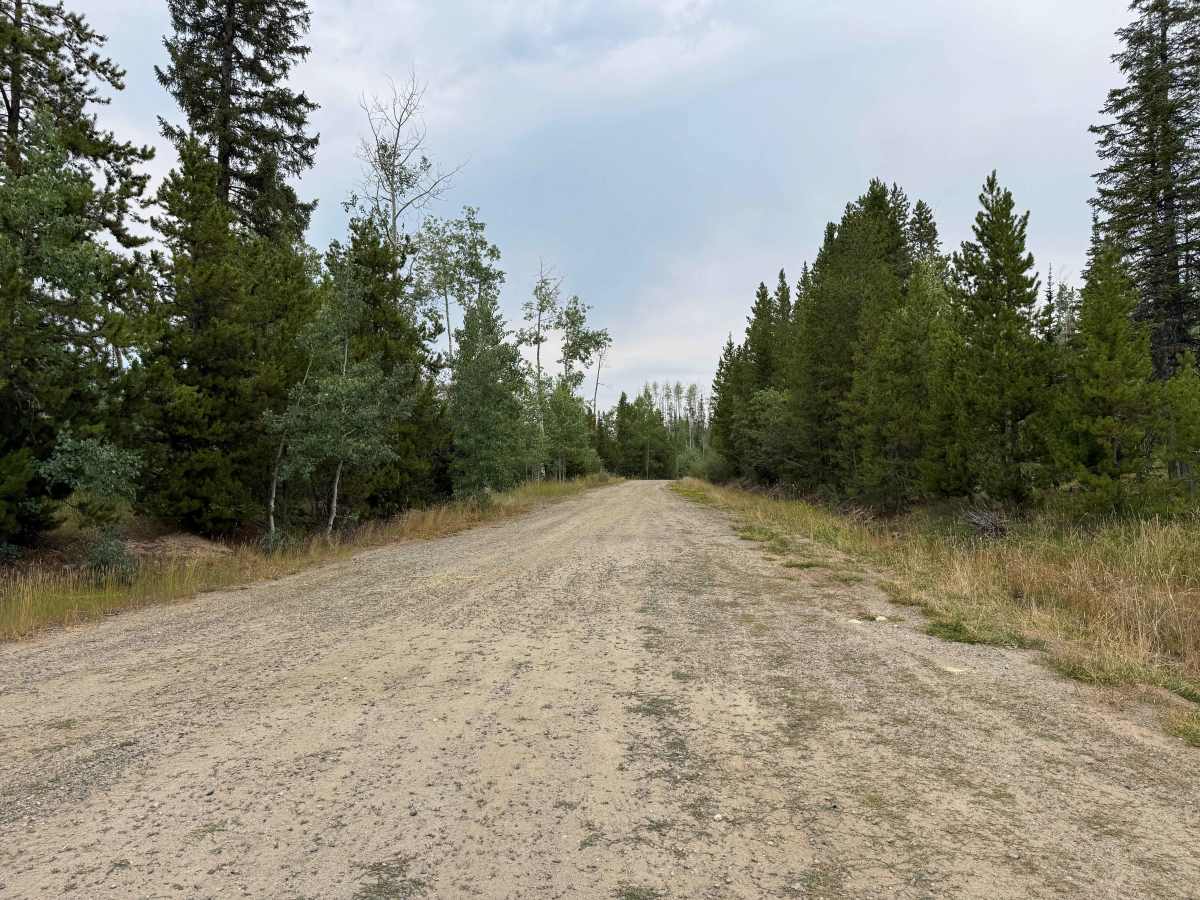 Wapiti Road - FS 441 photo 4