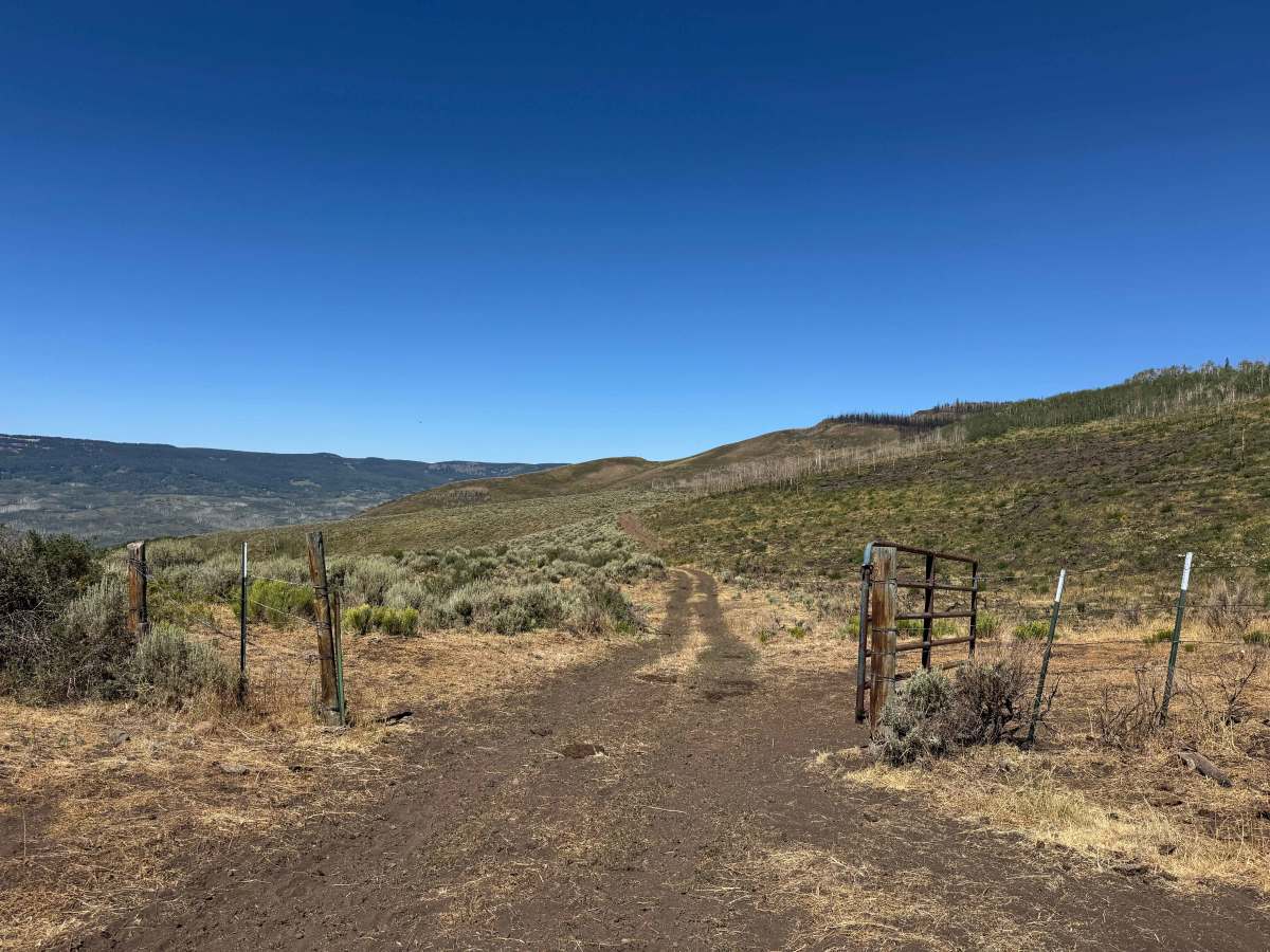 BLM 8454 photo 5
