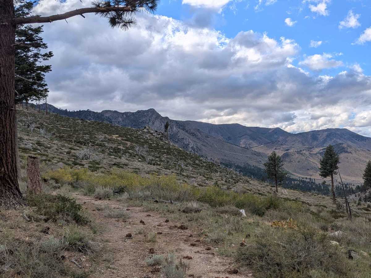 Terry Canyon Road - FS 32028A photo 3