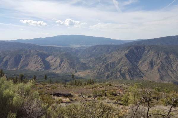 Alamo Mountain OHV - FS 8N01.3