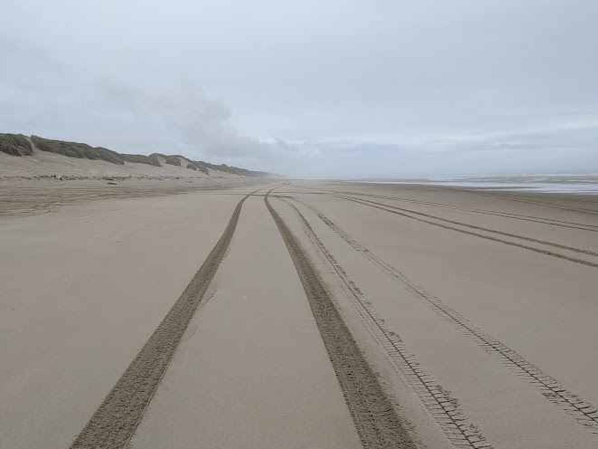 South Jetty Open Beach trail photo