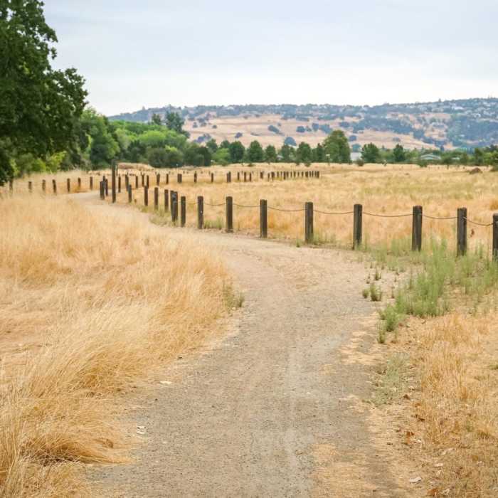 Near Humbug Creek Trail