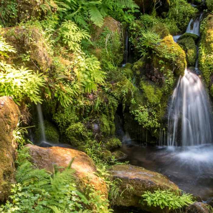 Near Watson Falls Hike
