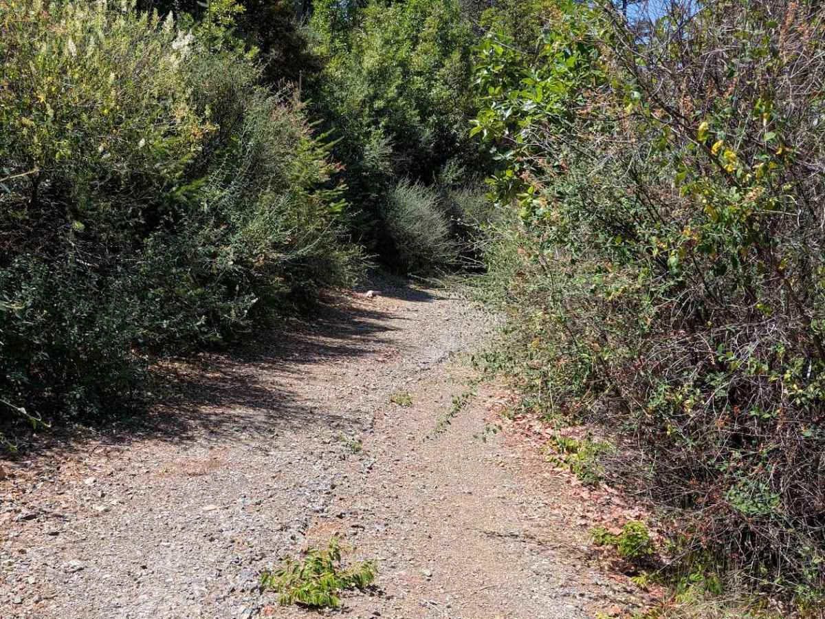 Hayshed Creek Road - FS 4N05 photo 3