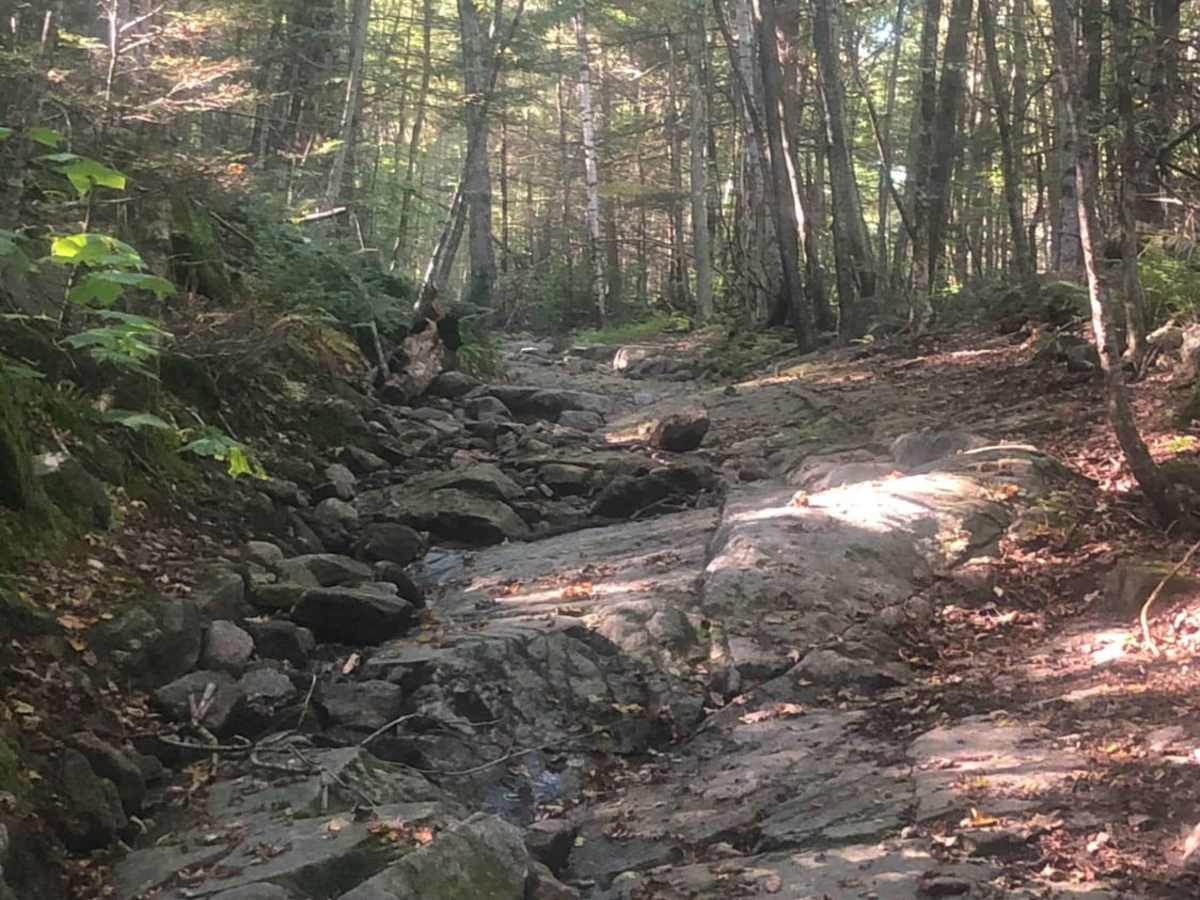 Cobble Hill Road Trail trail photo