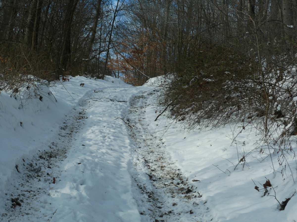 Trail 19 photo 5