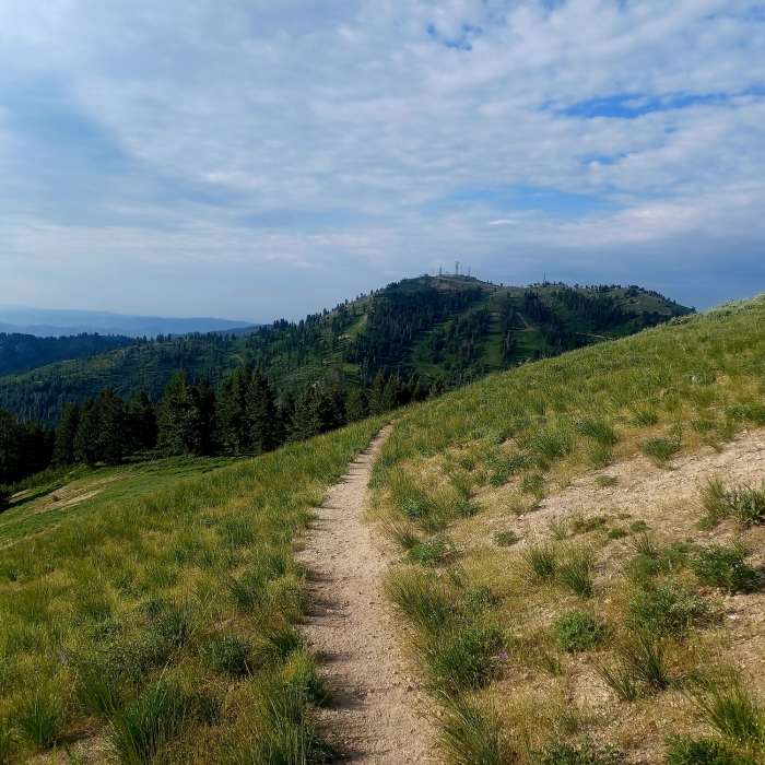 Near Mores Mountain Trail