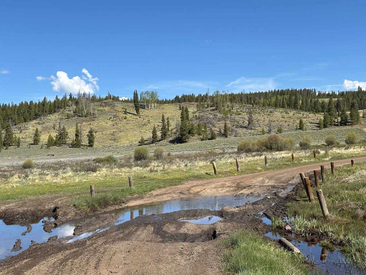 Cake Ridge Spur Road trail photo