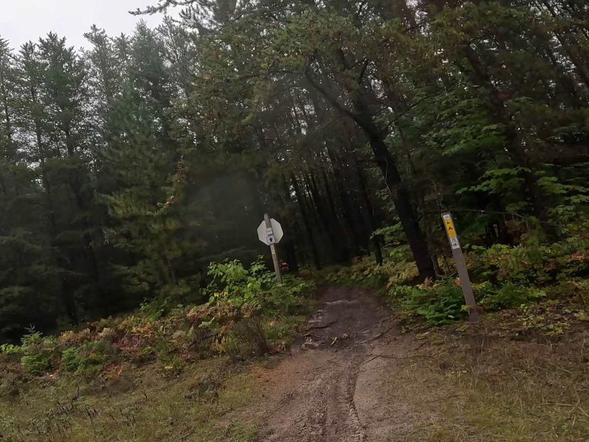 Two Hearted Trail (South) trail photo