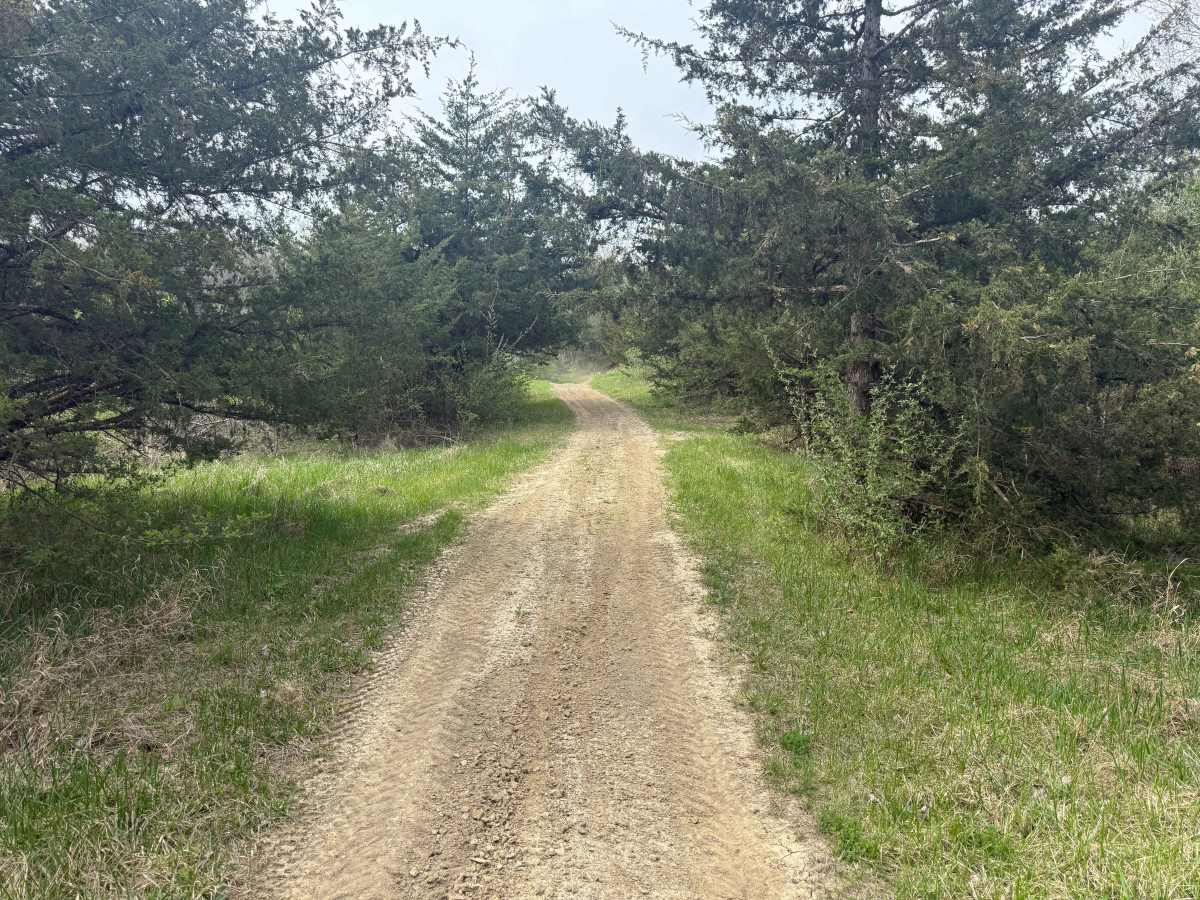 Trail # 6 photo 2