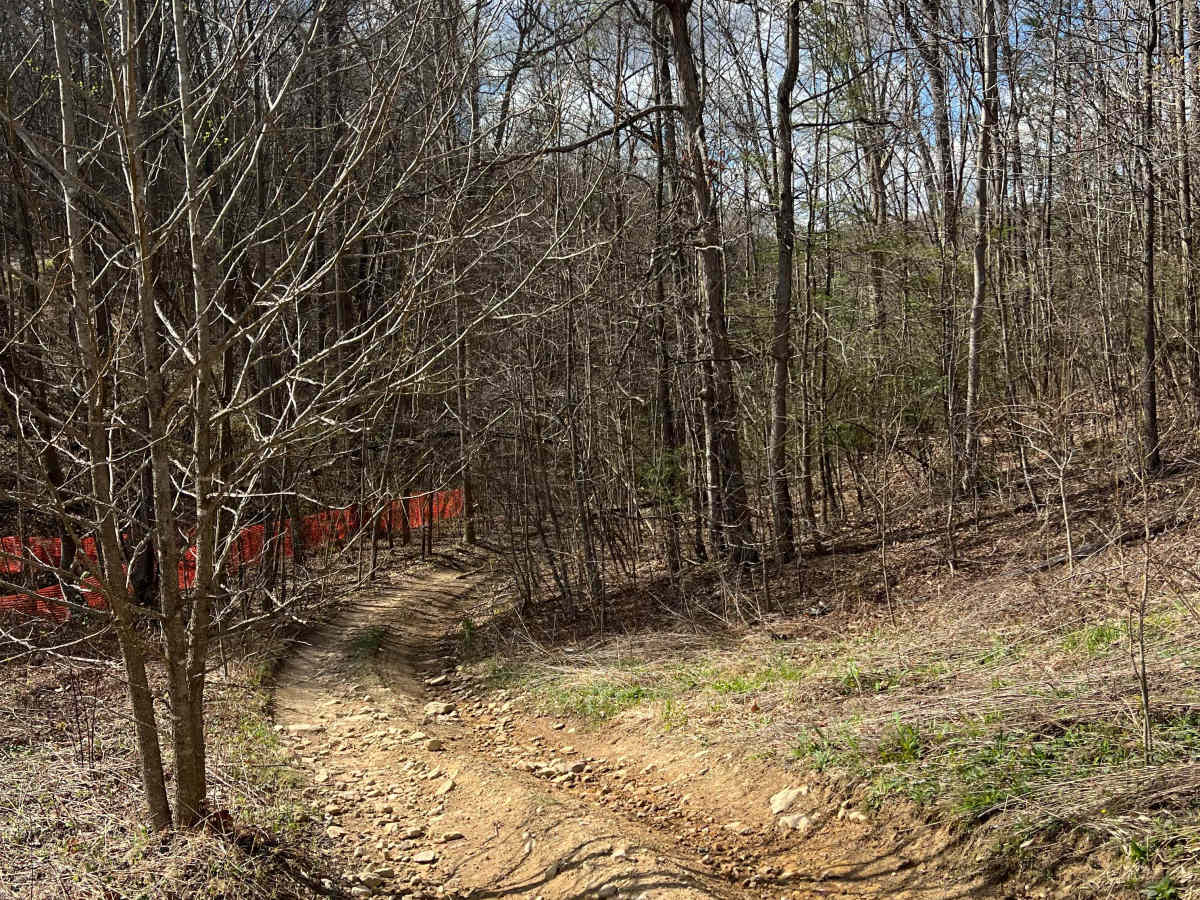 Q40 trail photo