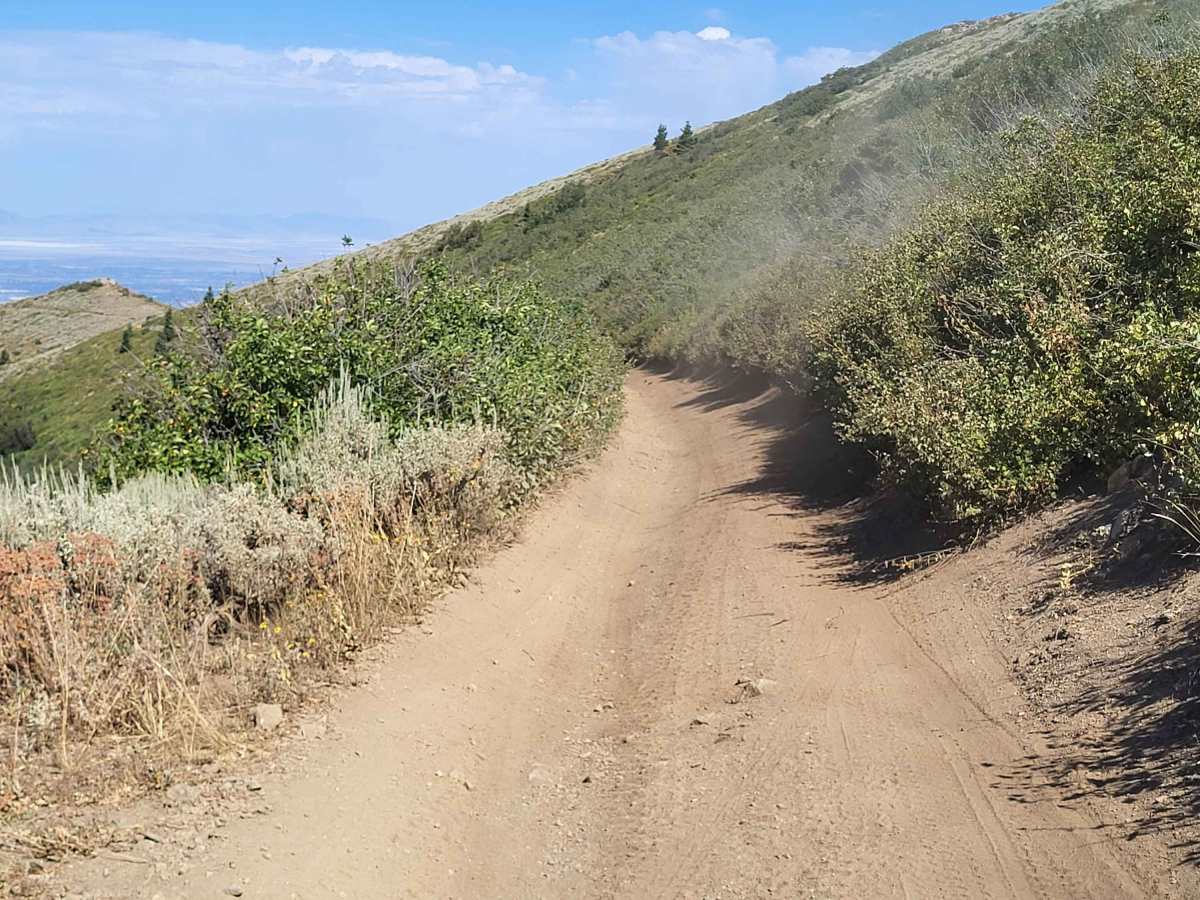 Steed Canyon Overlook photo 4