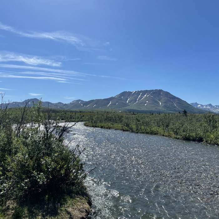 Near Mountain Vista Trail