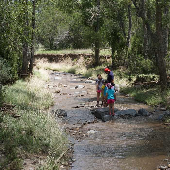 Near Petroglyph Trail