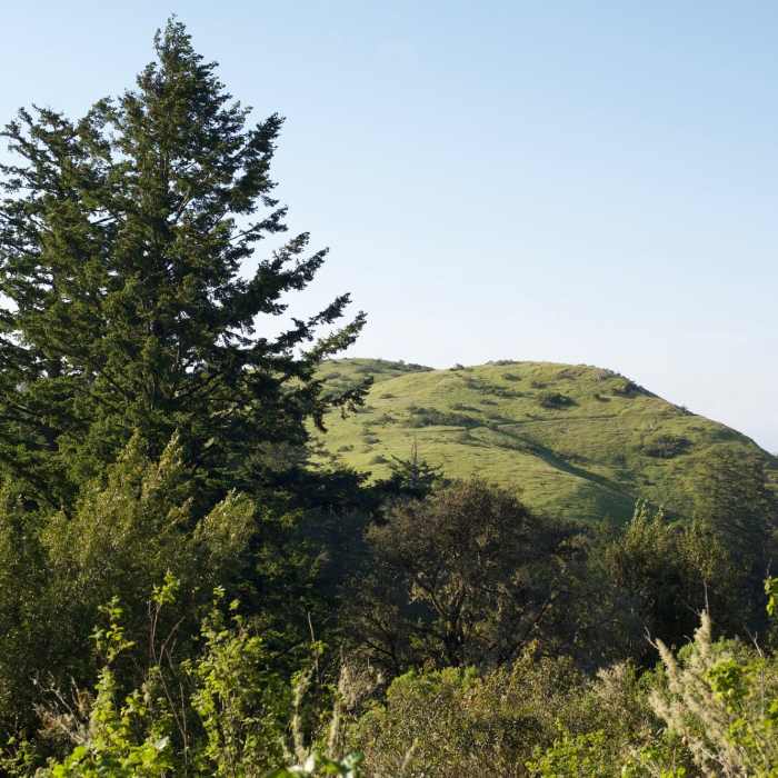 Near Lost Trail