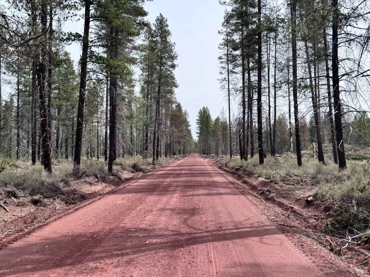 Kirk Road trail photo