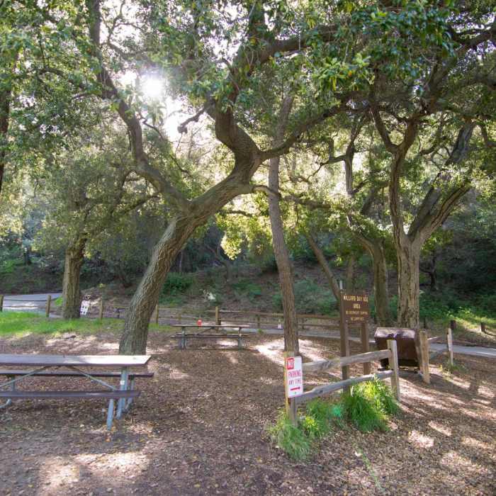 Near Millard Falls Hike