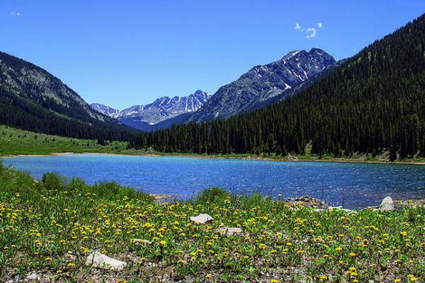 Lincoln Creek Road