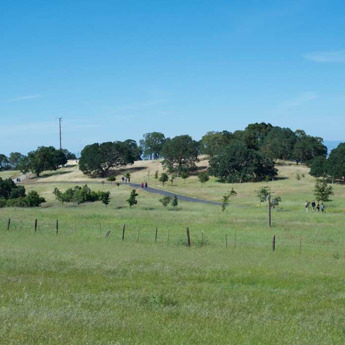 Near Stanford Dish: Ranch Road via Piers Gate