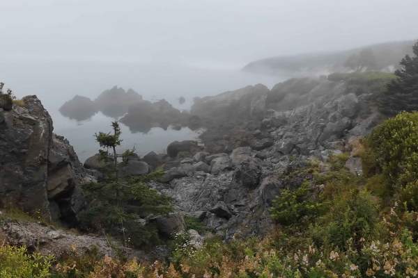 Cape Spencer (West Beach)