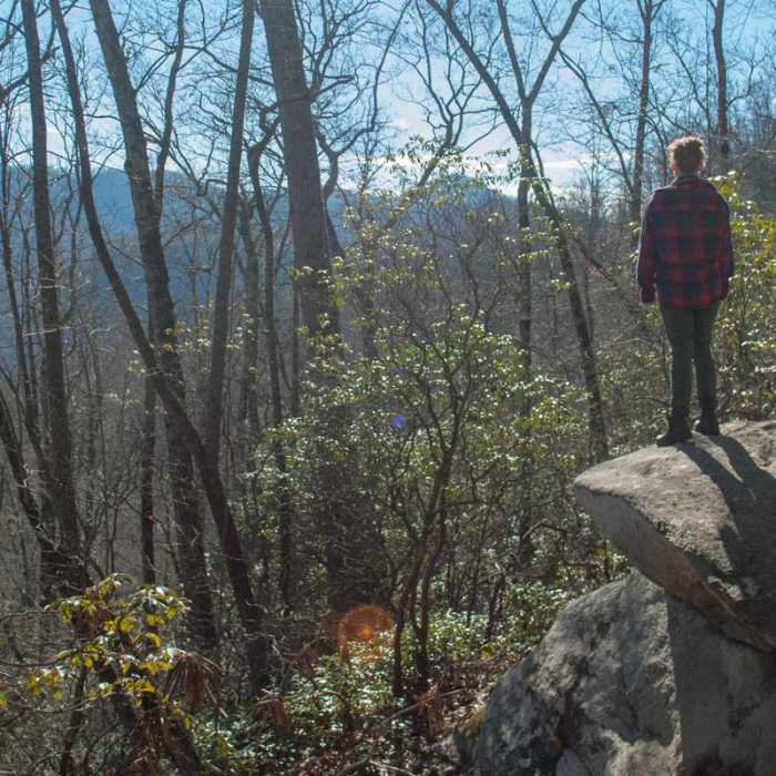 Near Looking Glass Rock Hike Near Looking Glass Rock Hike