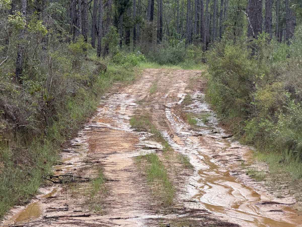 Blackwater River R74 trail photo