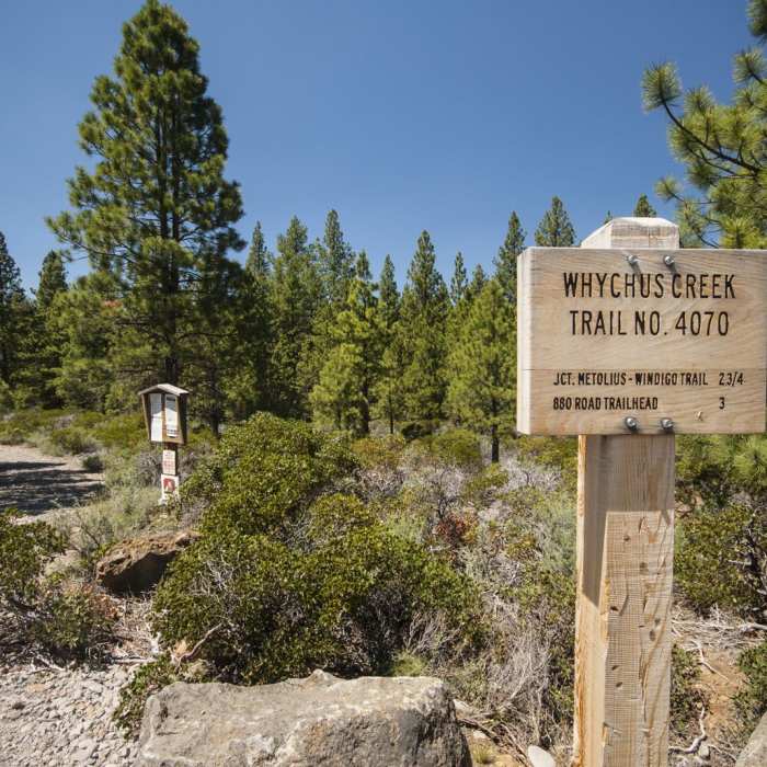 Near Upper Whychus Creek Trail
