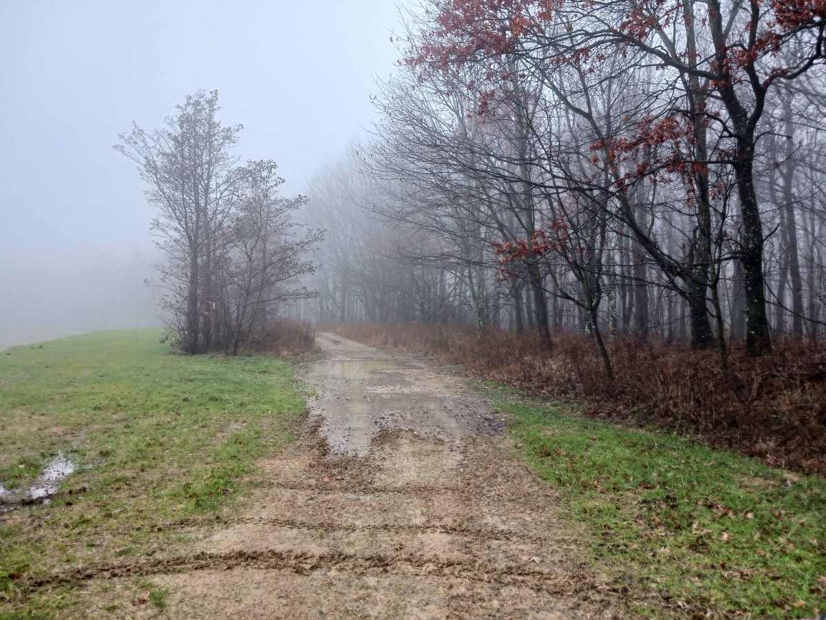 High Oak - Rock Run Recreation Area photo 3