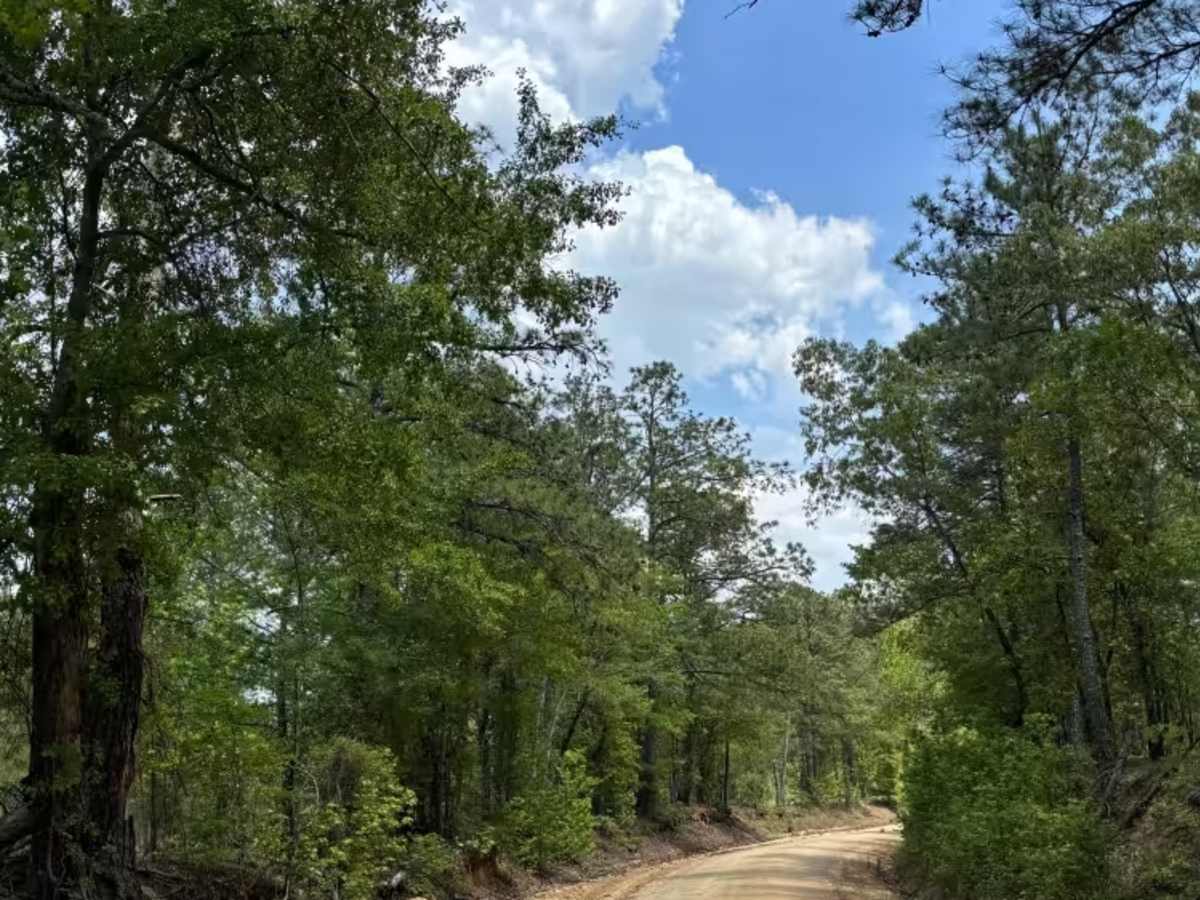 Shag Road  trail photo