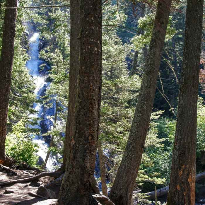 Bridge at the Pine Creek waterfall Near Pine Creek Falls