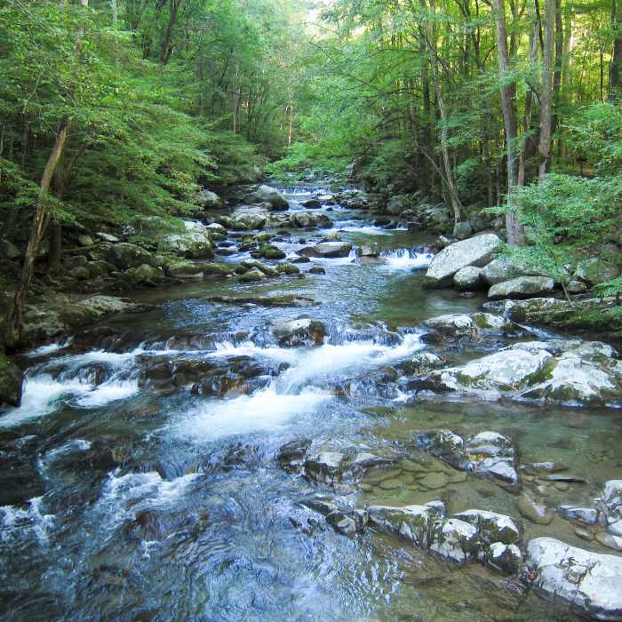 Big Creek in Great Smoky Mountains National Park Near Big Creek Trail