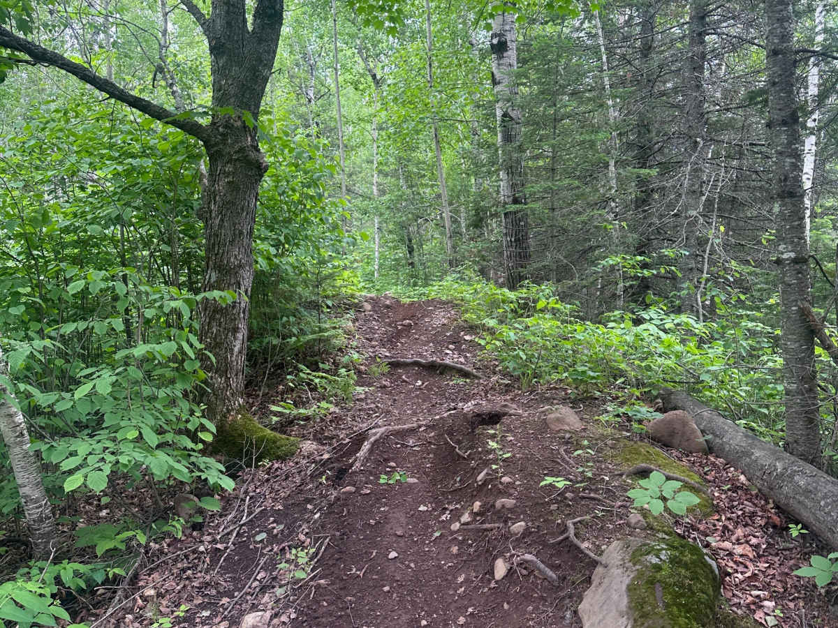 Alger Grade - Trail 1 photo 5