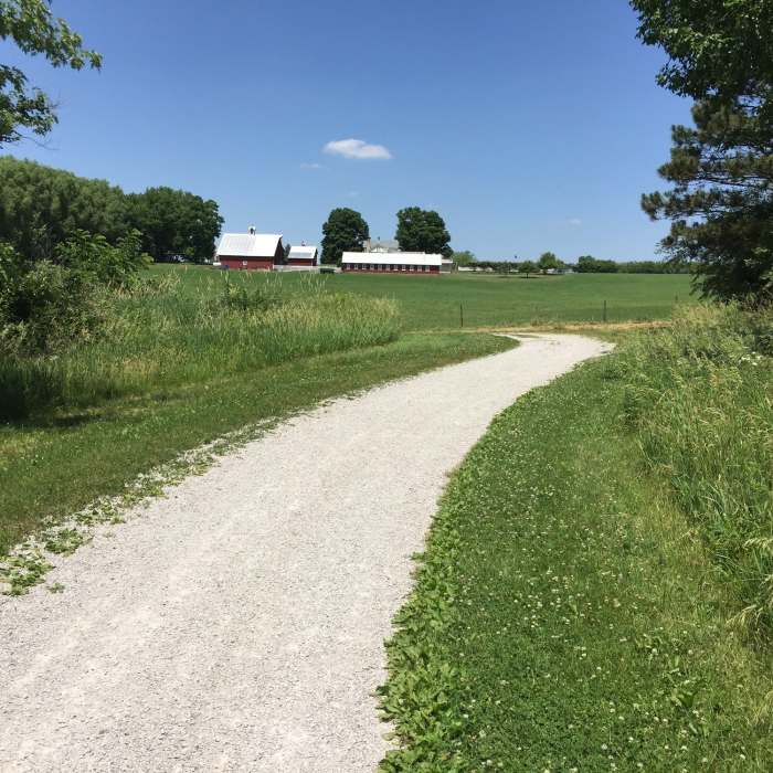 Just so you don't forget your in Iowa, there's a little bit of this kind of scenery on the North Shore Trail also. Near Solon to MacBride Beach