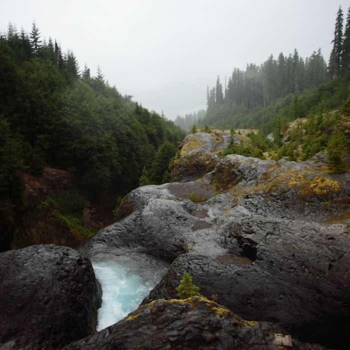 Near Lava Canyon Loop
