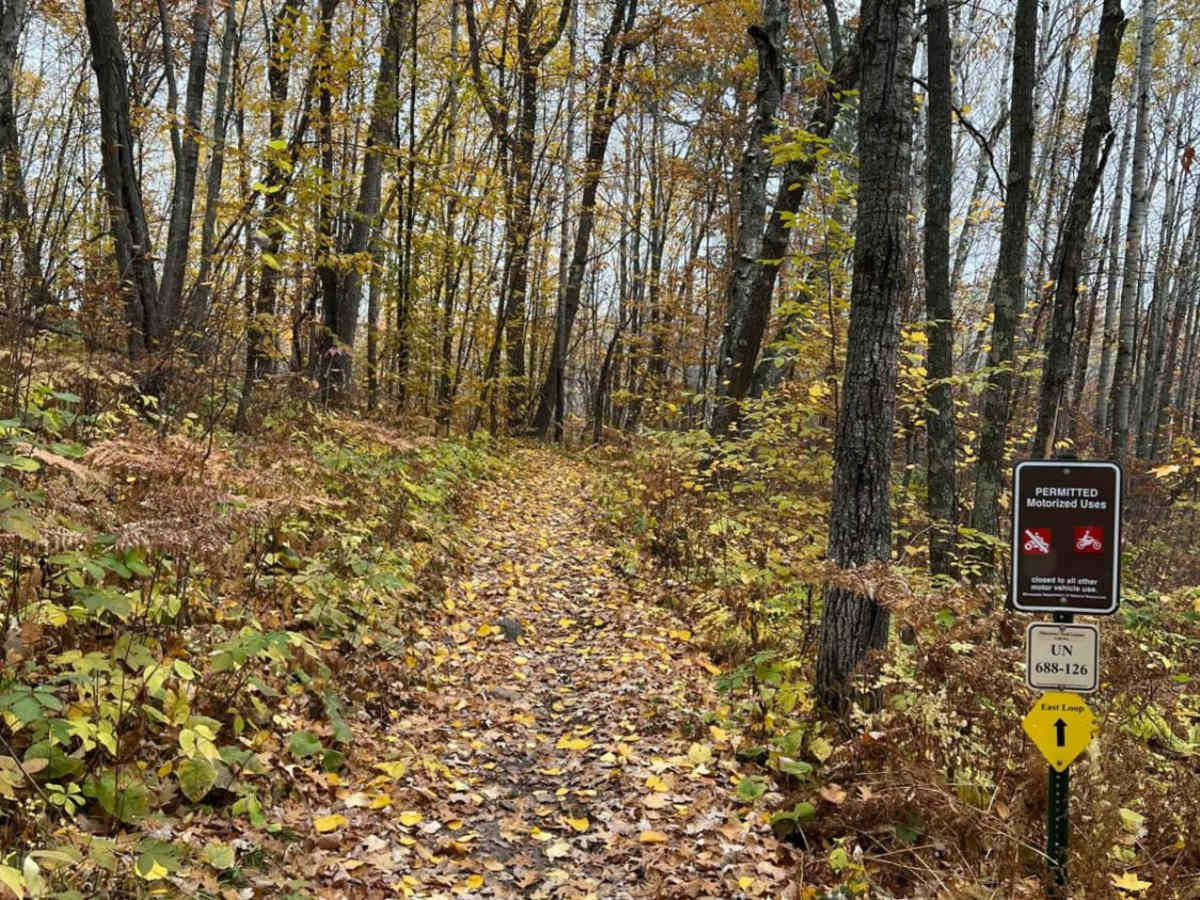 Paul Bunyan Southern Single Track Bypass trail photo