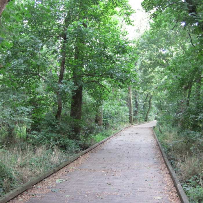 Near Lower McAlpine Creek Greenway and McMullen Creek Greenway