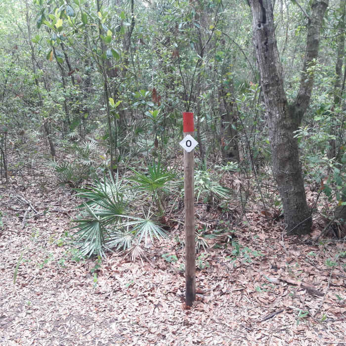 Near Red Loop