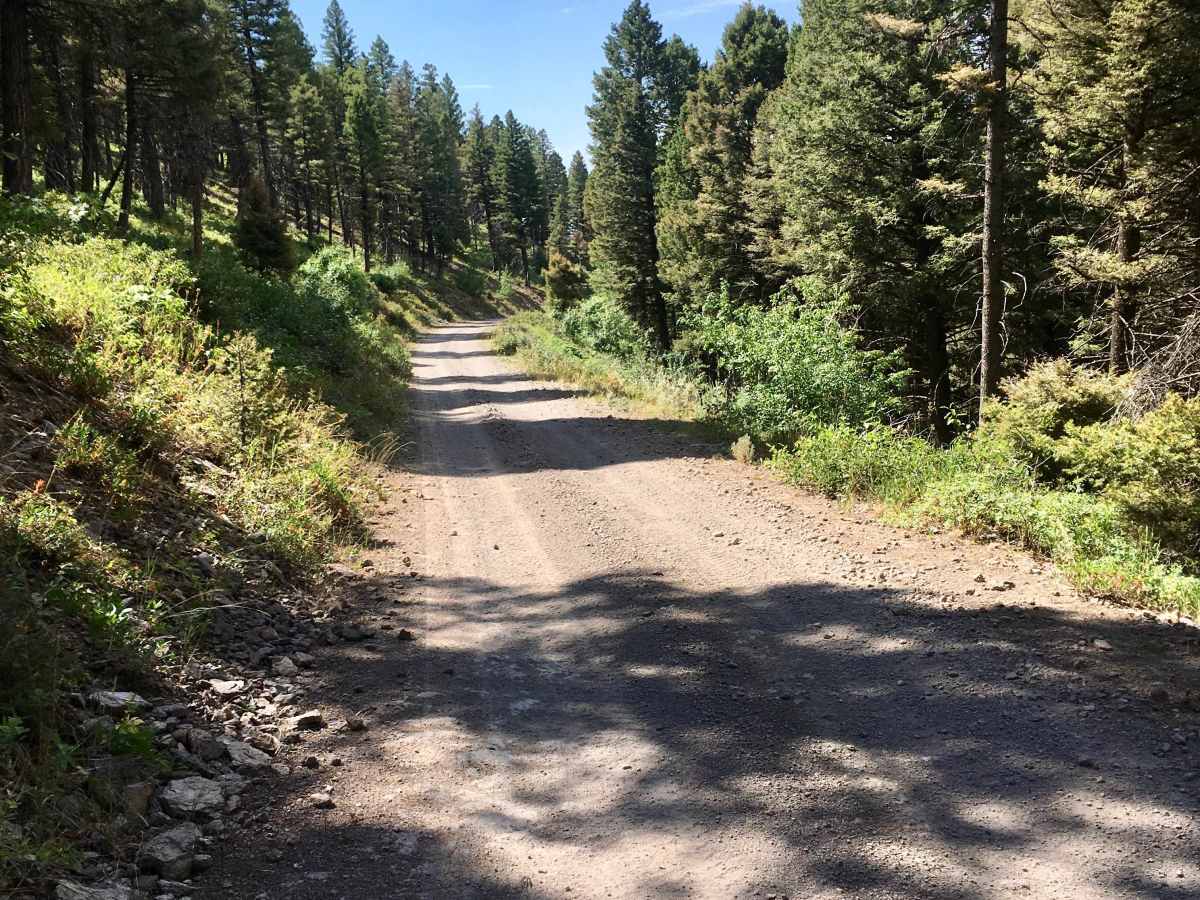 Middle Threemile Road trail photo