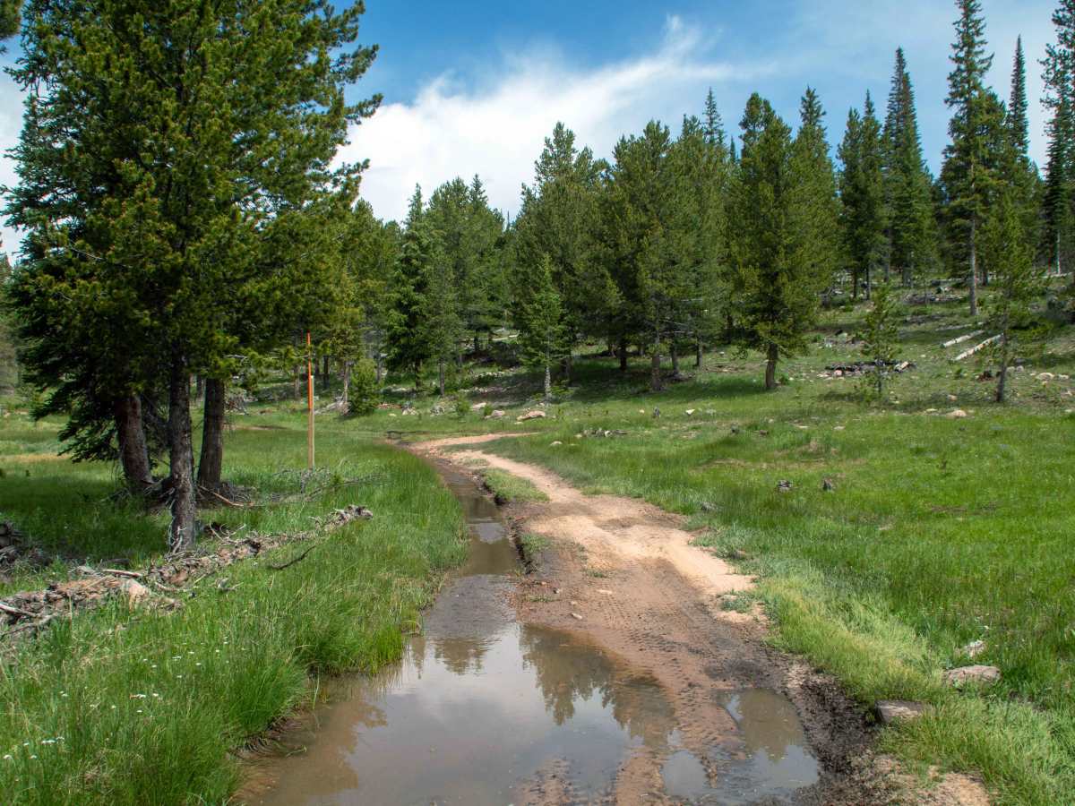 Cobble Creek - FS 80415 photo 2