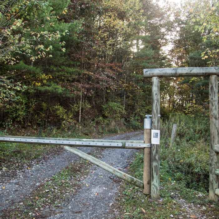 Near Huckleberry Trail