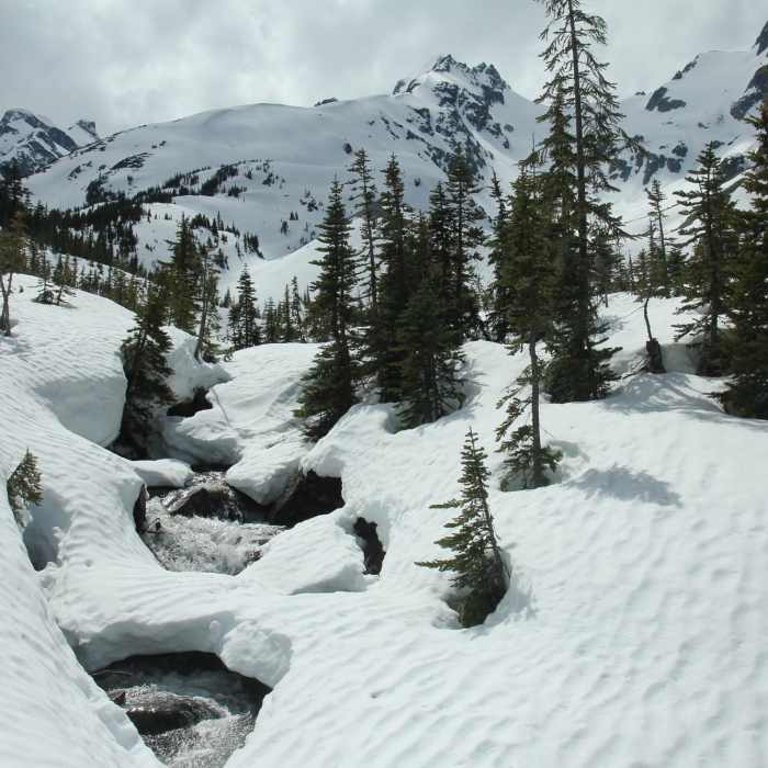 Near Cerise Creek Winter Route (Keith's Hut)